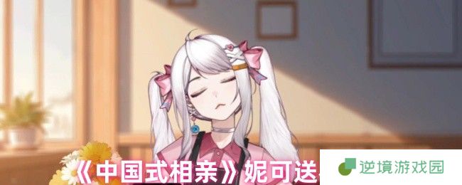 中国式相亲妮可好感度提升方法 送礼攻略与高效赚钱技巧