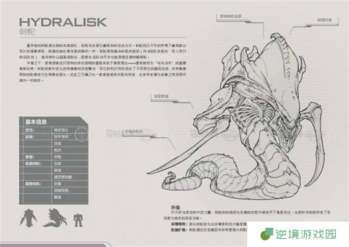 星际争霸2兵种图鉴大全图二