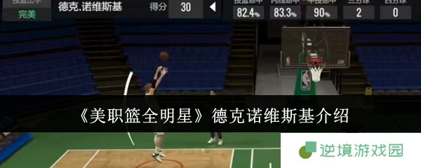 美职篮全明星德克诺维斯基实战评测与培养技巧