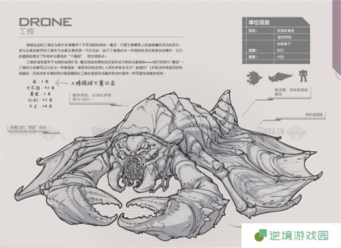 星际争霸2兵种图鉴大全图十