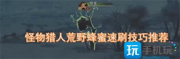 怪物猎人荒野蜂蜜速刷技巧推荐