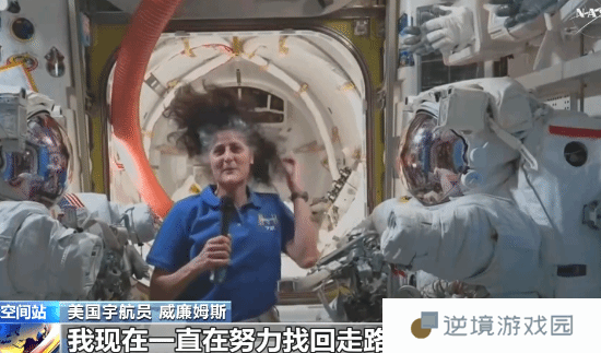 极乐软件园