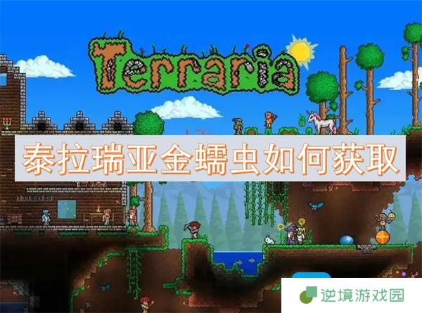 泰拉瑞亚金蠕虫如何获取