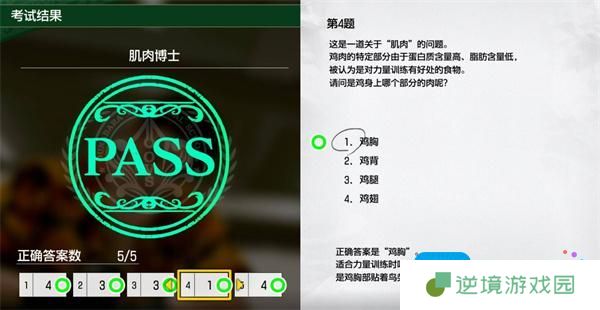 如龙8外传夏威夷海盗肌肉博士正确答案一览
