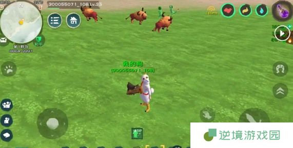 创造与魔法龙涎草位置一览图三