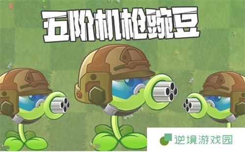 植物大战僵尸2机枪豌豆怎么培养