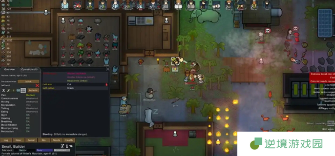 rimworld wiki入口在哪图一