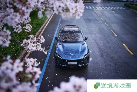 极乐软件园