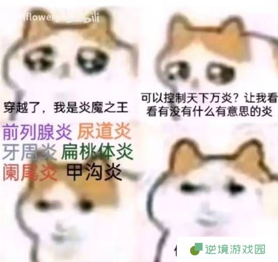 极乐软件园
