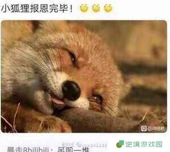 极乐软件园