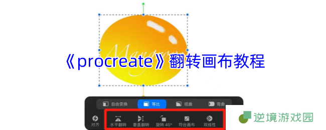 Procreate画布翻转神技 三秒解锁镜像大法+手势骚操作