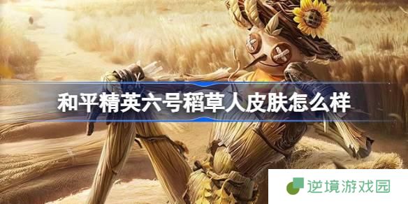 和平精英六号稻草人皮肤多少钱-六号稻草人皮肤价格介绍