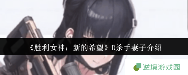 胜利女神新的希望D杀手妻子强度解析 狙击流最强辅助实战指南