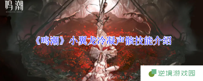 《鸣潮》小翼龙冷凝声骸技能介绍