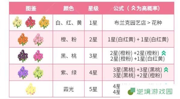 心动小镇迎春花杂交配方有哪些