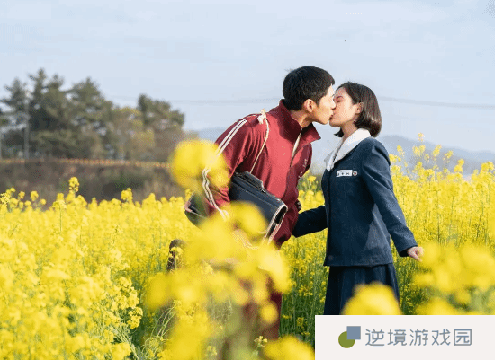 极乐软件园