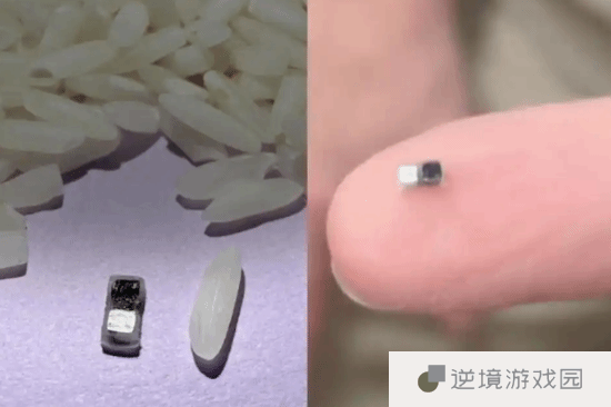 世界最小心脏起搏器问世：比米粒还小 中国博士后提出自供电方法