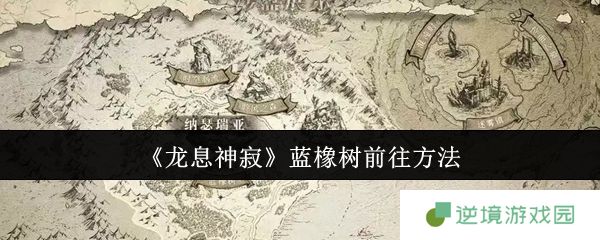 龙息神寂蓝橡树探索全攻略 传送门位置+隐藏任务解锁