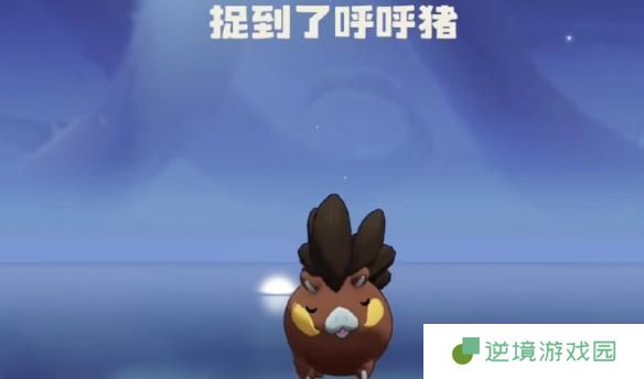 洛克王国世界呼呼猪技能怎么搭配-呼呼猪技能搭配推荐