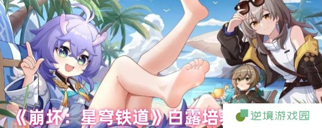 崩坏星穹铁道白露全方位培养攻略 技能解析与实战技巧分享