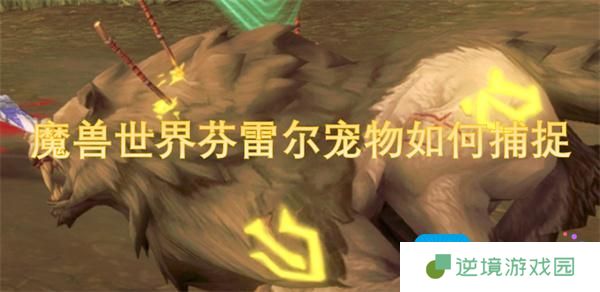 魔兽世界芬雷尔宠物如何捕捉
