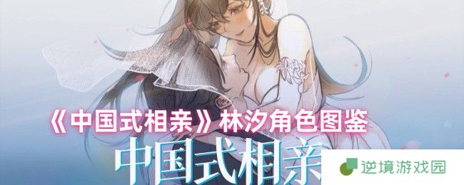 中国式相亲林汐全解析：恐婚医生攻略指南