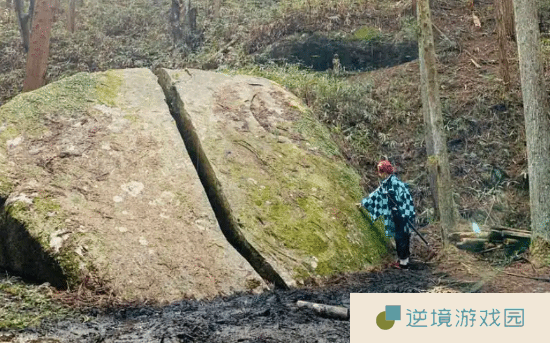 极乐软件园