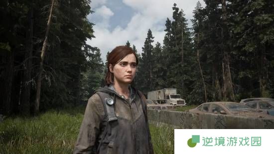 外媒称《美末2》PC版移植优秀 比初代好